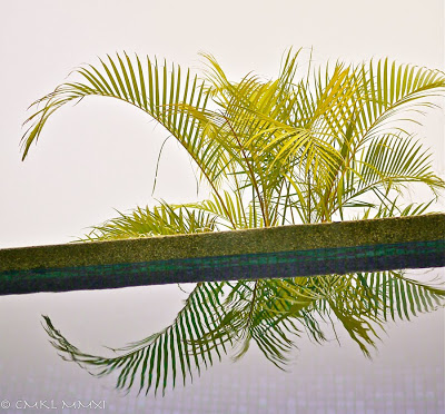 9a80a-meditationpalmsmall-2