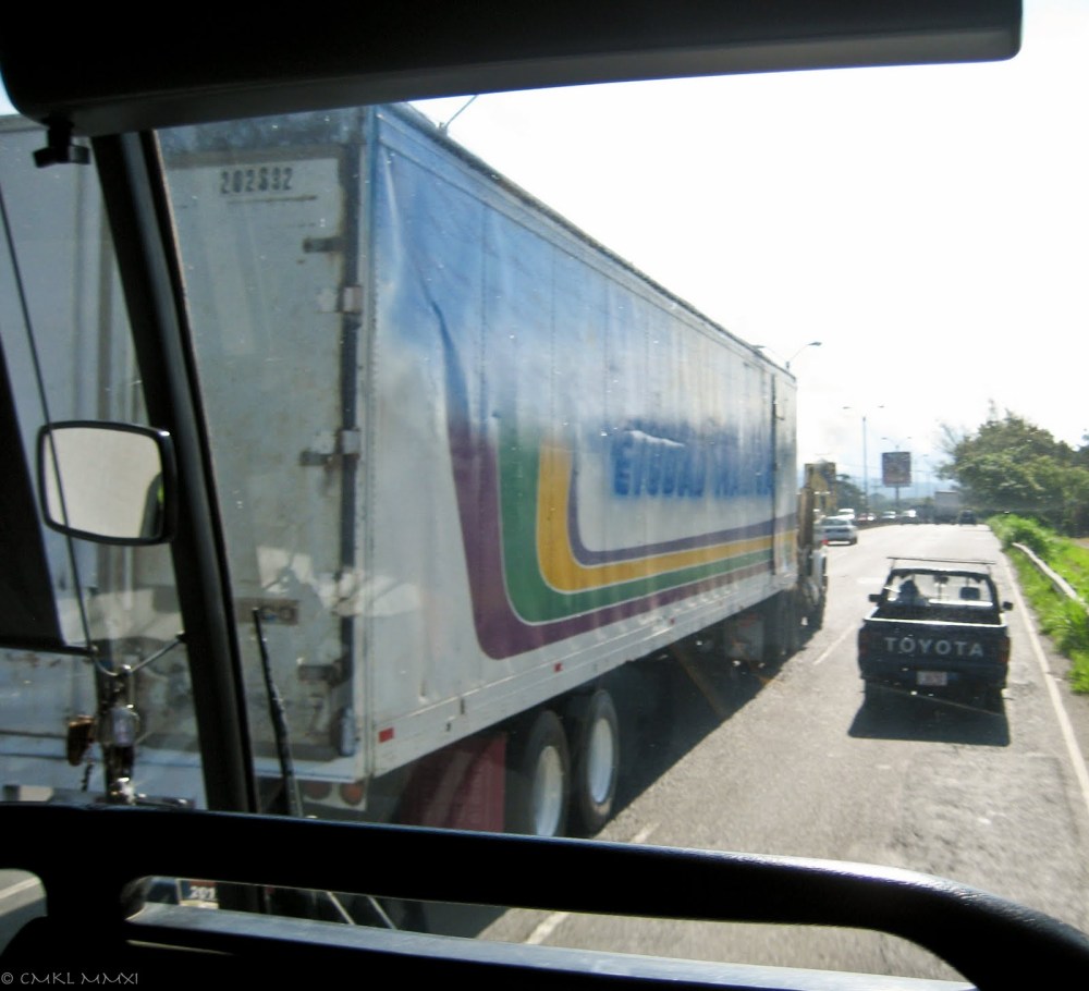 0fe9e-bustrip10-lr-8391