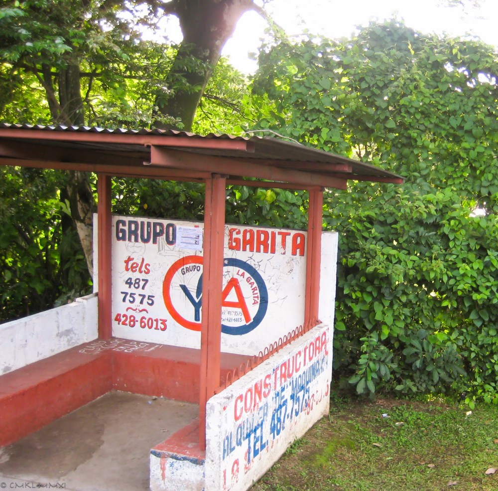 361cc-bustrip06-lr-8378