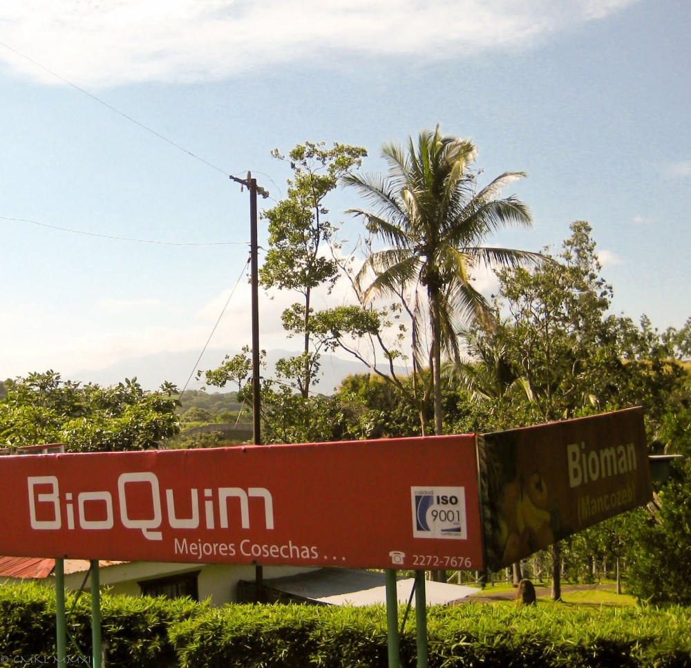 73c4a-bustrip08-lr-8385