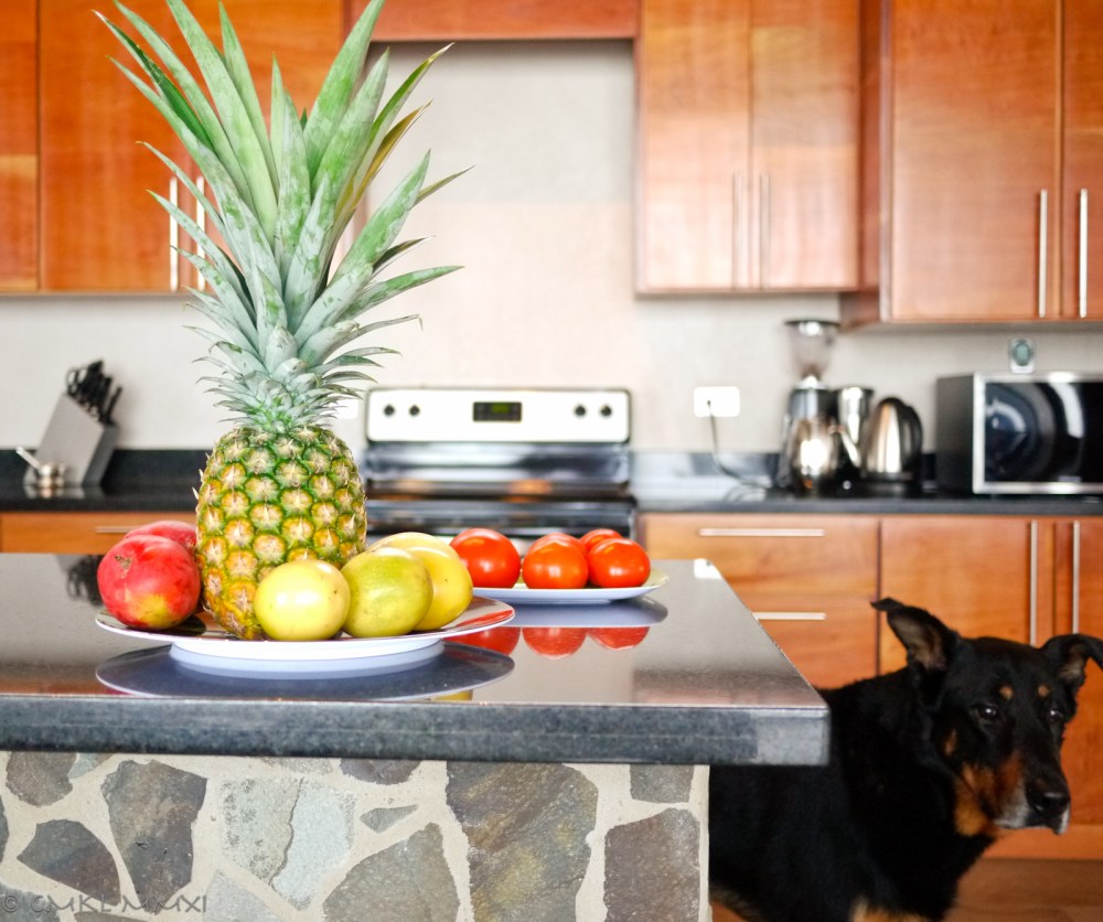 39e98-fruits01-lr-1040596