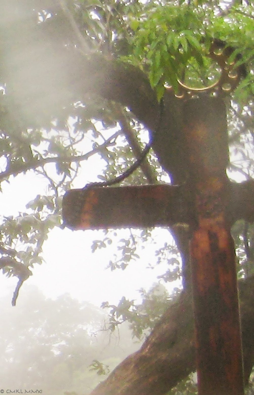 5bae9-landslide03a-lr-9317