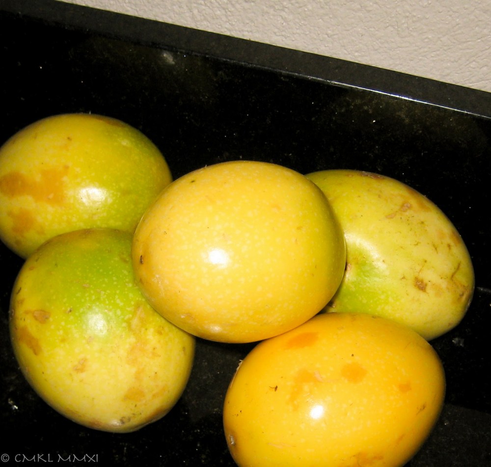 78aea-maracuya01-lr-9268