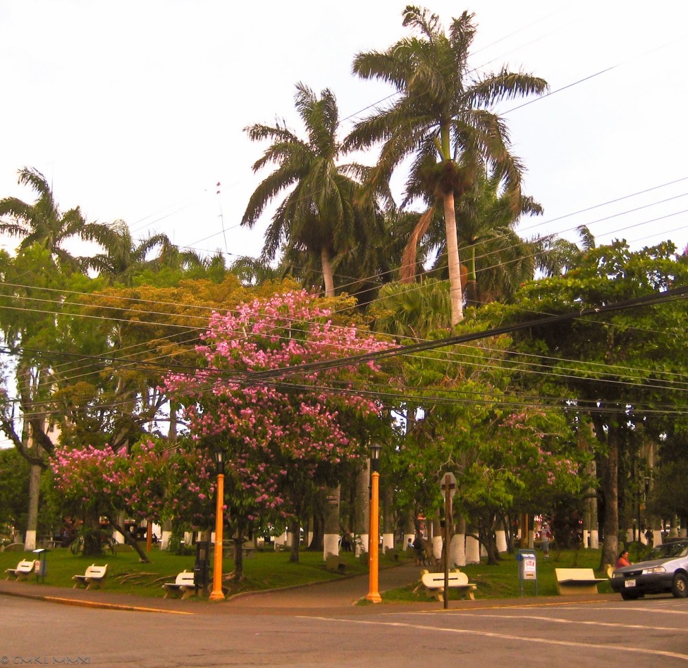 9efbd-elparque02-ox-lr-7615