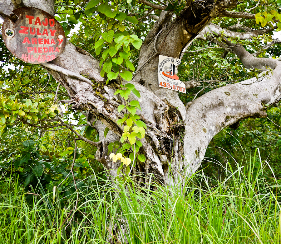 544e7-topuriscal03-lr-1030162