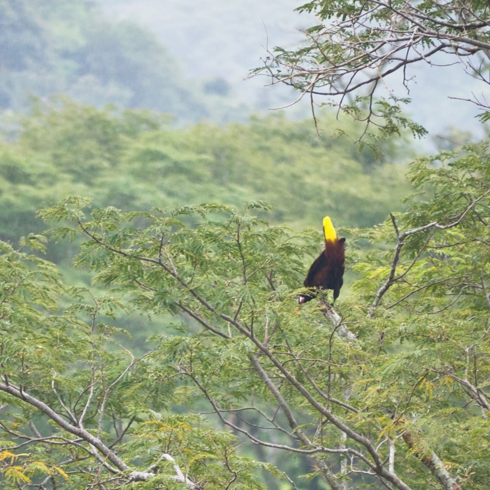 902dd-montezuma03-lr-1040767