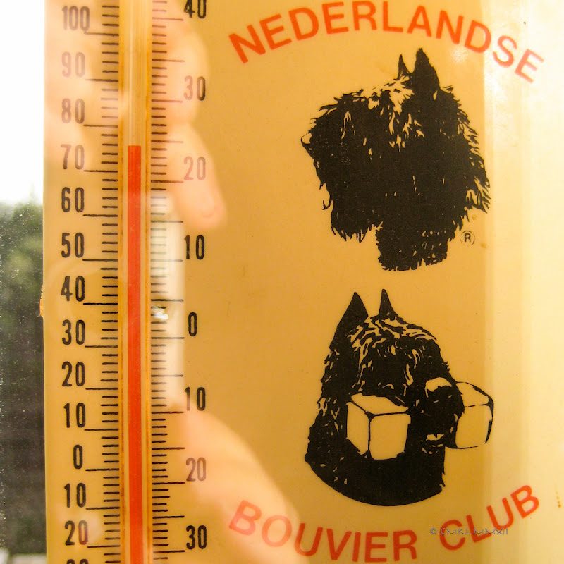 a6d4d-hightemp-lr-1519