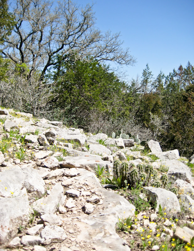 e45ba-backyard02-lr-1781