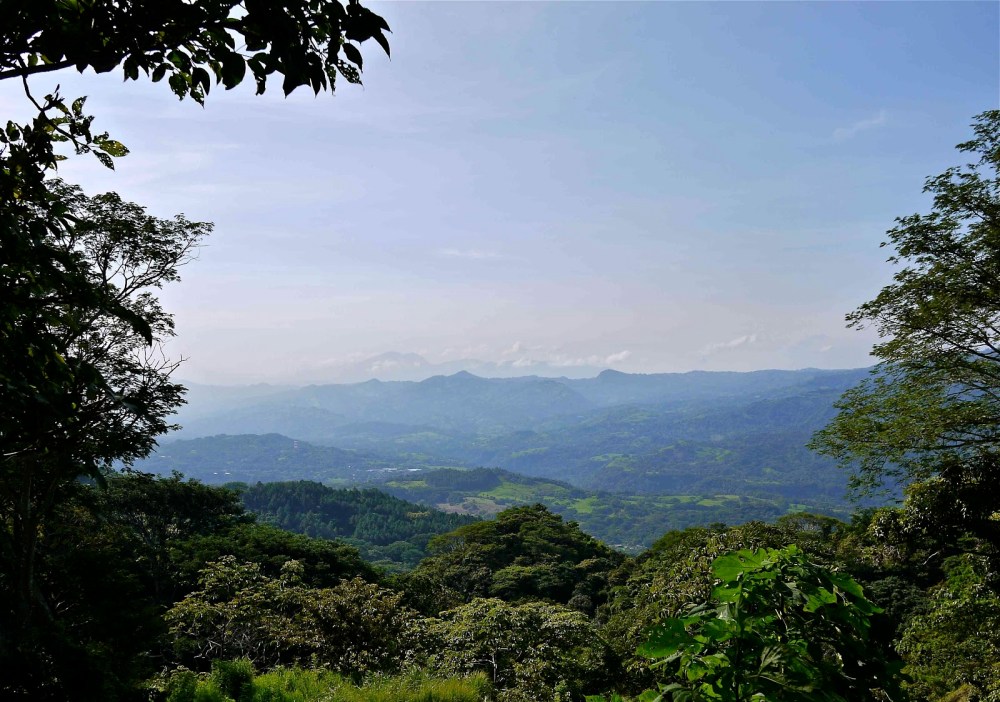 03335-cdl-8am-p1020752