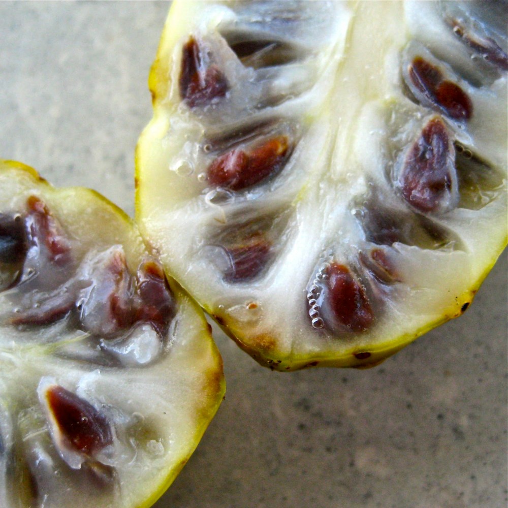 6d4f7-vomitfruit-open_4040-small