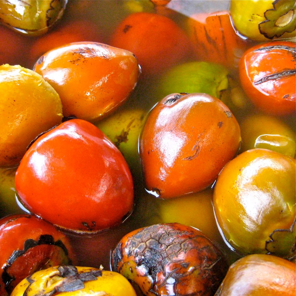 7132e-pejiballe02_4077