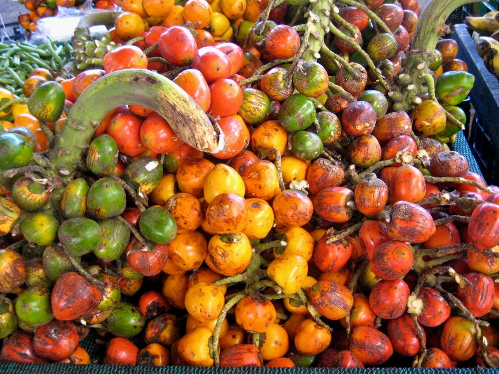 b840b-pejiballe03_4052