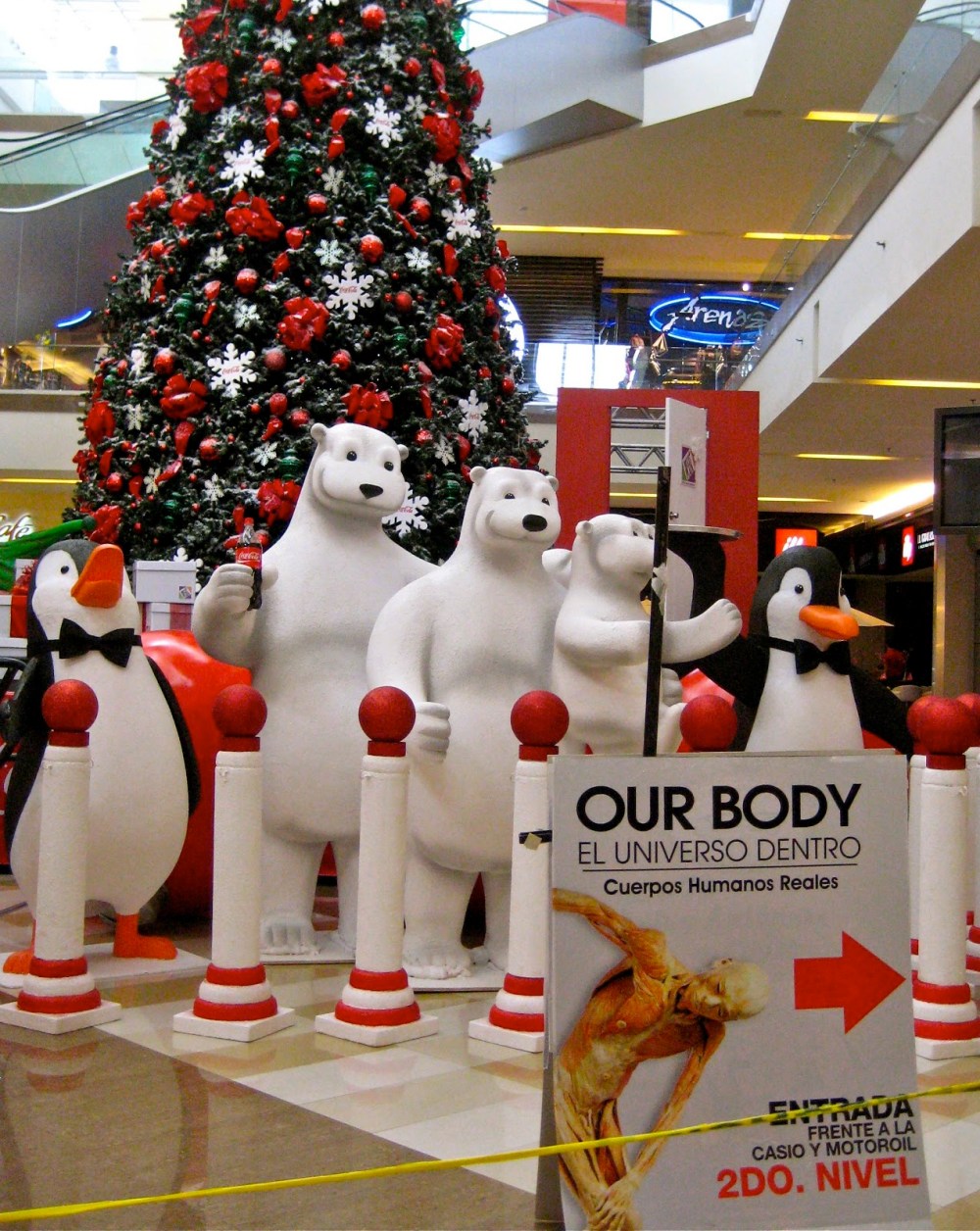 b6647-body-mall_4429