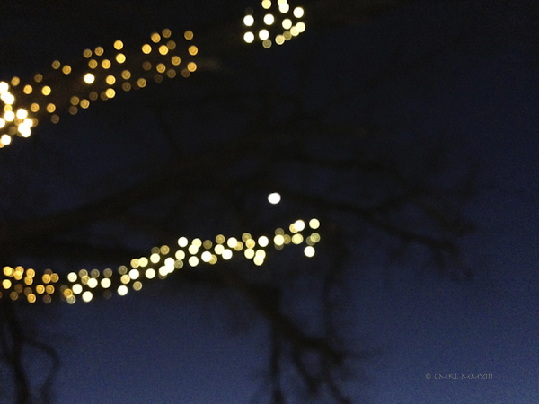 31c8f-rails-06-lr-0204