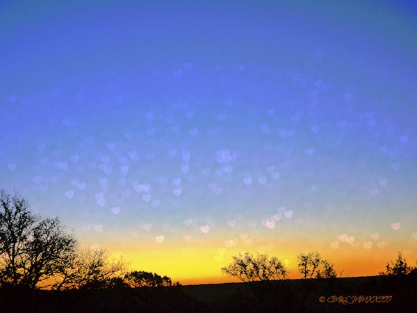 448a5-dawn-valentine-alterted-p1150761_edited-1-2