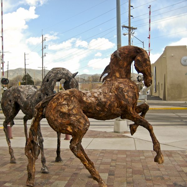 0b1b4-white-horses-5118