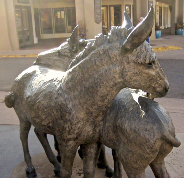 29f28-sfe-saturday-03-detail01-5149