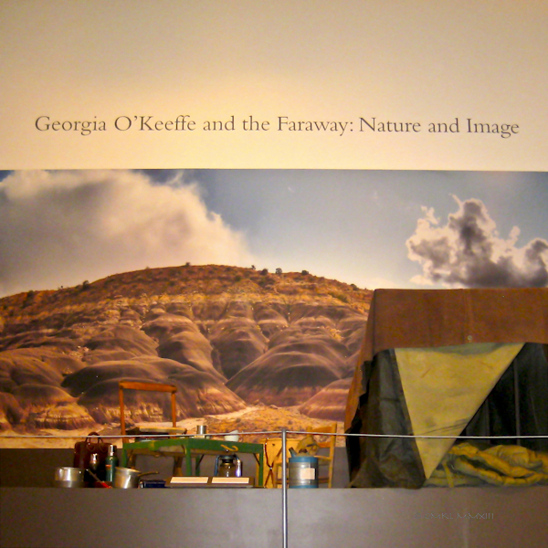 4b514-okeefecamp-5174