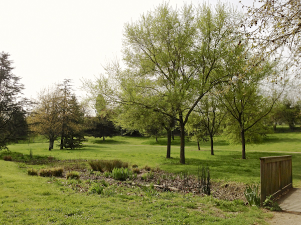 74fc3-park-arene-0631