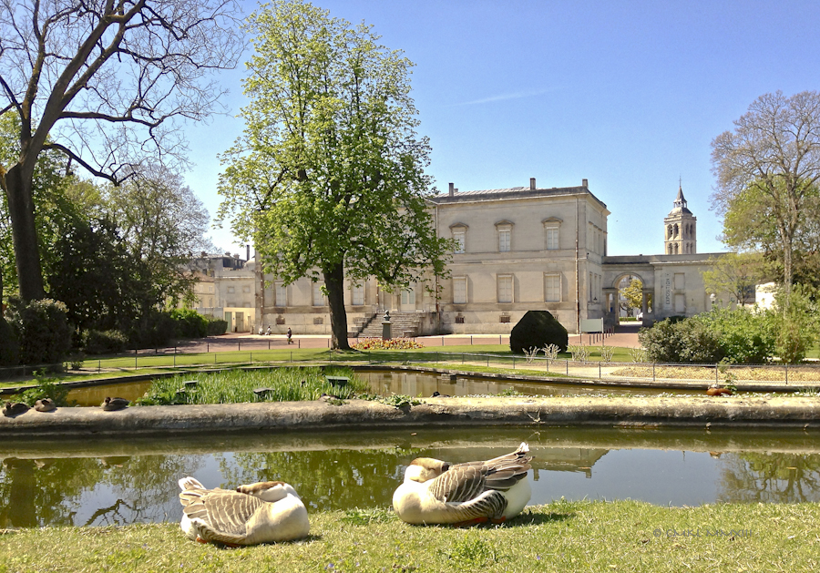 8af79-jardinpublic-06-0897