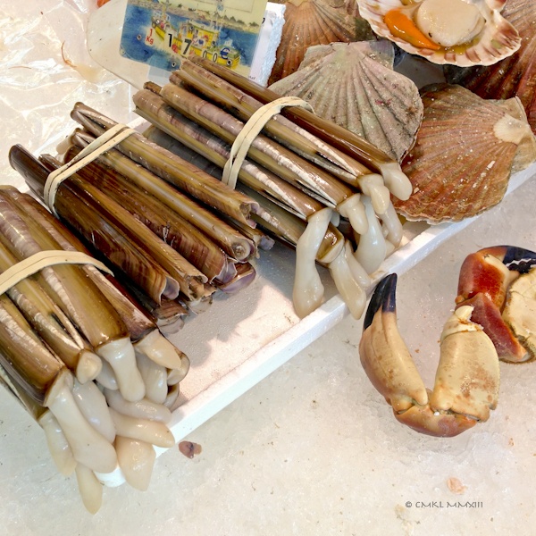 bf045-saintes-razorclams-0563