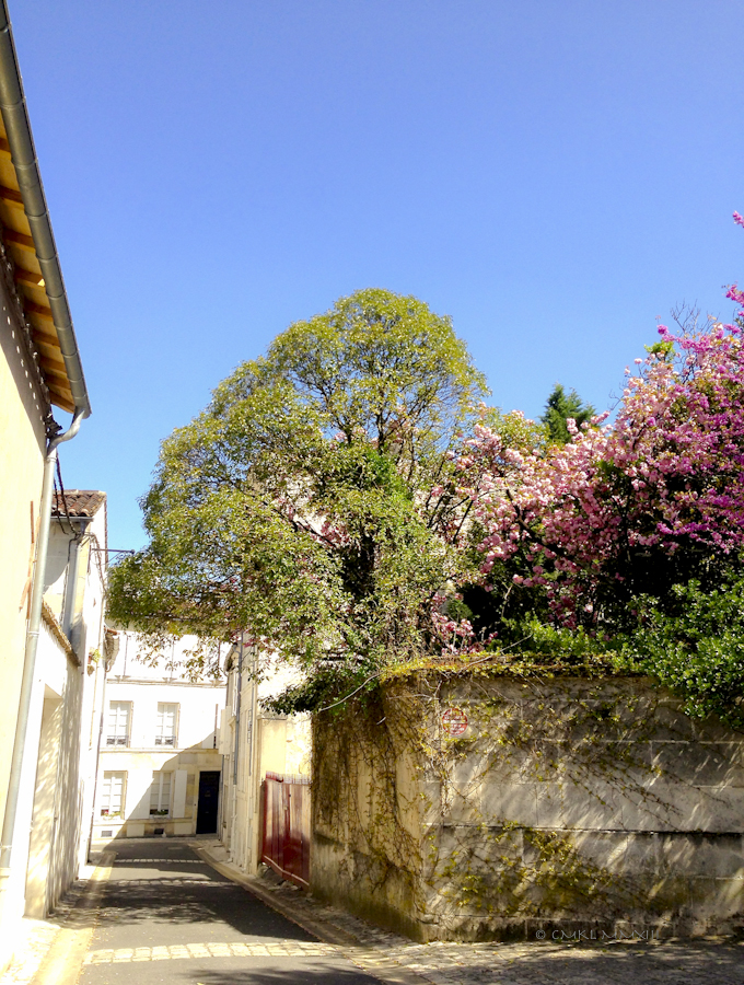 c1a43-jardinpublic-10-0860