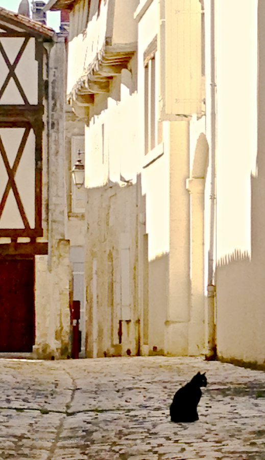 e2cae-jardinpublic-11-0863