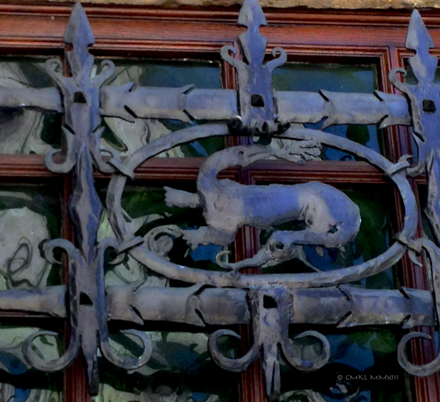 e306e-salamander-02-0866