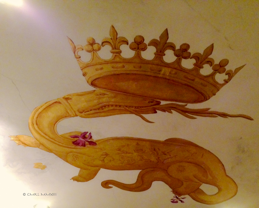 f2652-salamander-0671