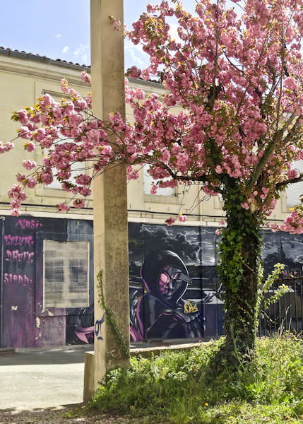 11963-saint-louis-08-0749