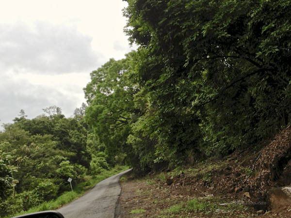 ae9df-market-04-1887