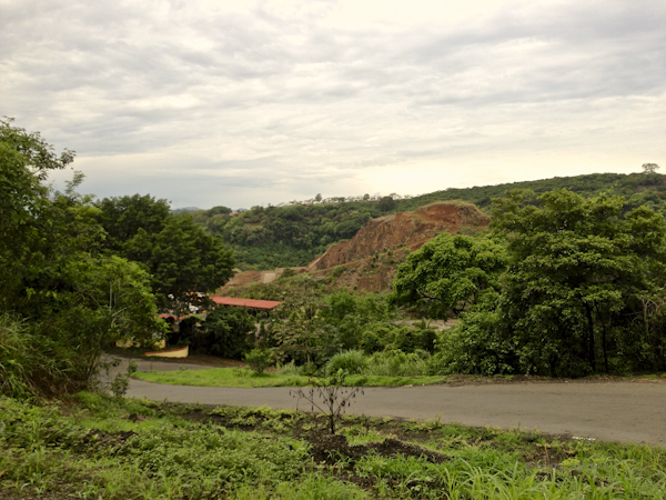 b77bf-market-06-1890