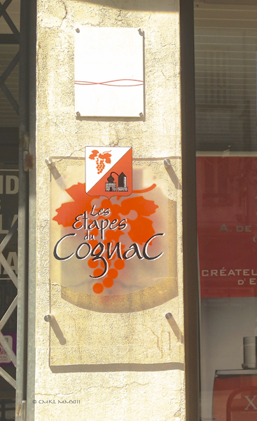 f7738-cognathecc80que-02-0919