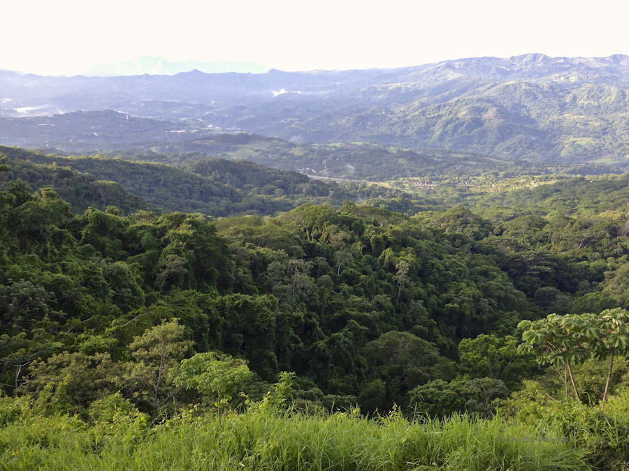 02561-lomas-walk-04-2026