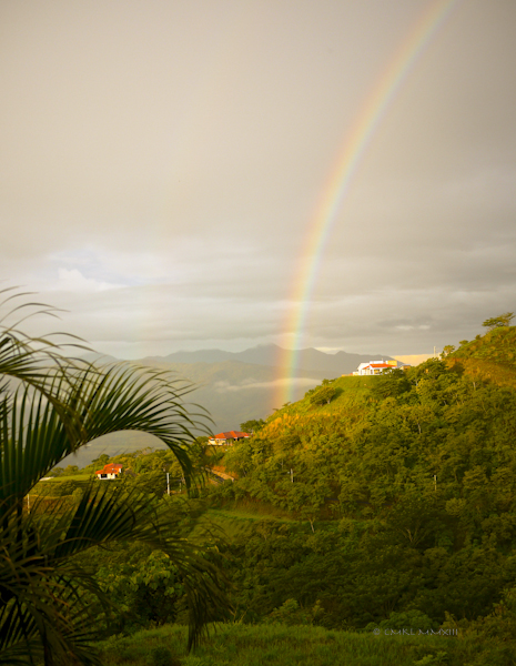 0d8b8-rainbow-05-1150949