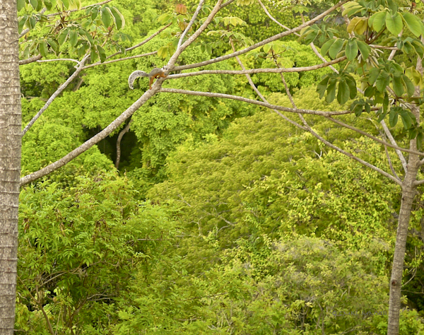 2ab7e-rainbow-03-1150954