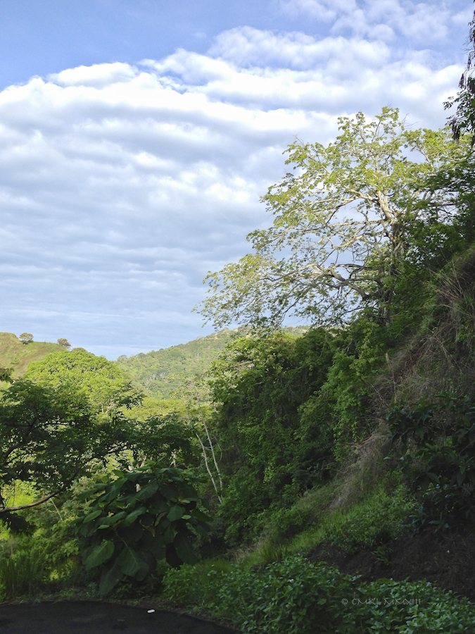 5c1b2-lomas-walk-01-2019