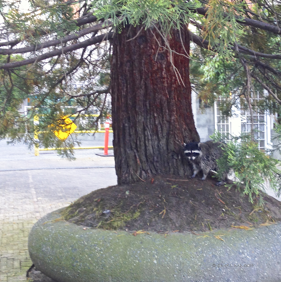 1bad0-mondaymorning-03-2499