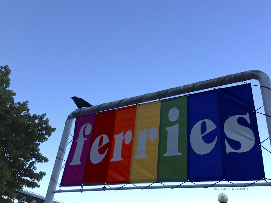 29fd0-mondaymorning-04-2490