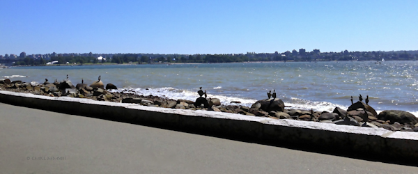 4371d-smallbalancedbirds-2218