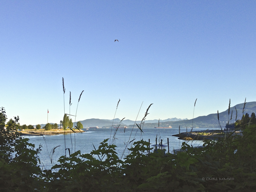 6cb39-mondaymorning-06-2510