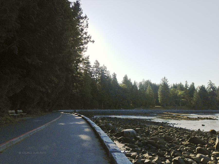 851fb-seawall-08-2196