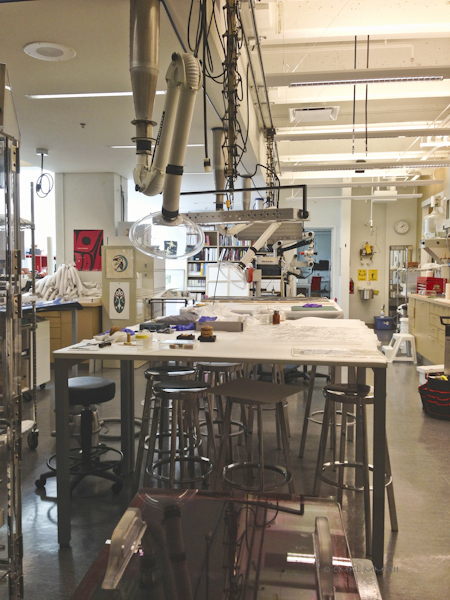 9f12d-anthro-27-3296