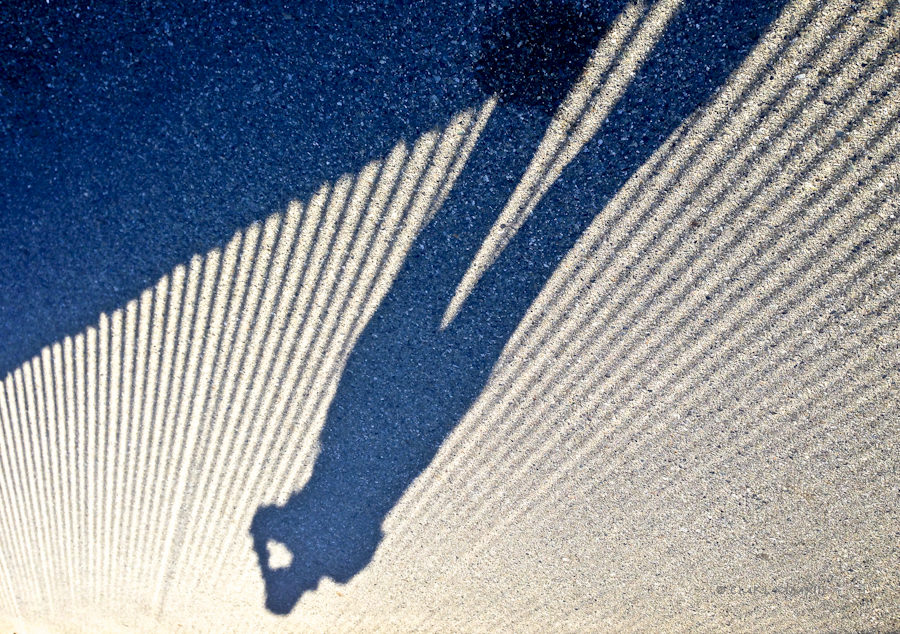 a7368-seawall-09-2198