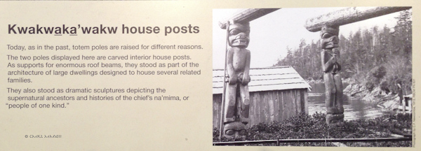 bf8d8-anthro-04-3208