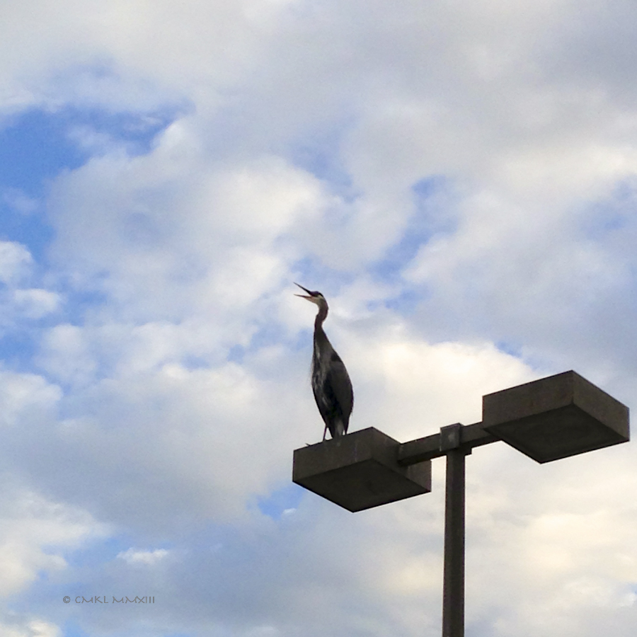 bfd2a-seawall-03-2126