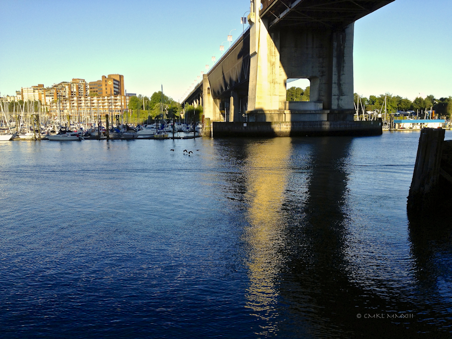 c4878-mondaymorning-05-2506