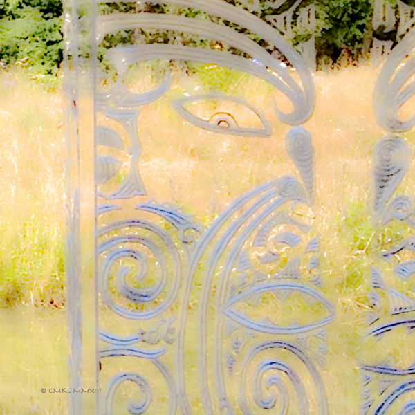 d764a-anthro-20-3284