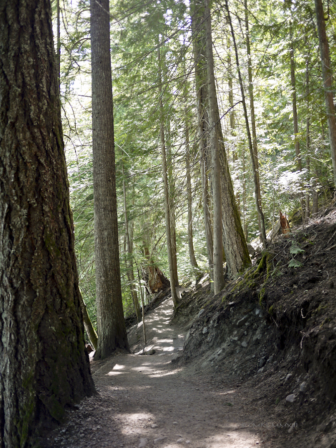 07294-falls-nairn-03-1160915