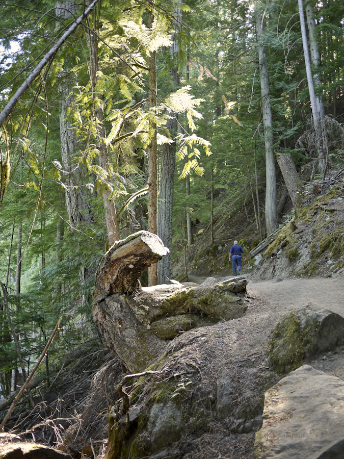 1d60c-falls-nairn-10-1160932